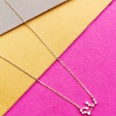 Ellison + Young: Zodiac Collection Necklace 11