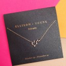 Ellison + Young: Zodiac Collection Necklace 6