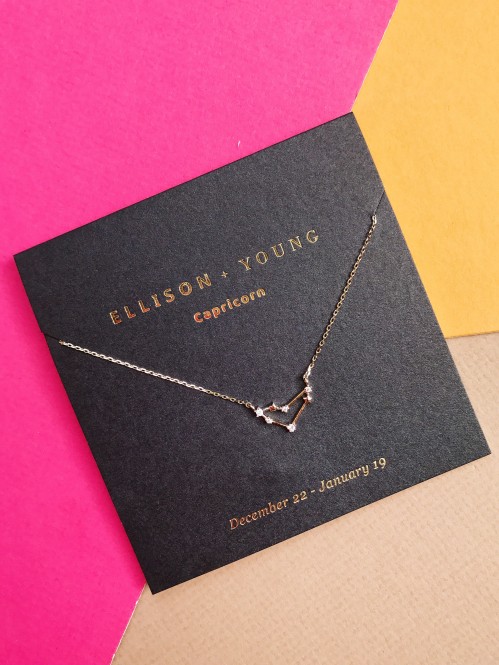 Ellison + Young: Zodiac Collection Necklace 10