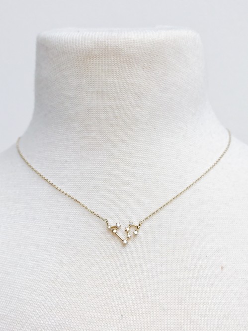 Ellison + Young: Zodiac Collection Necklace 4